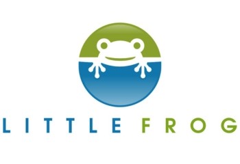 Little Frog